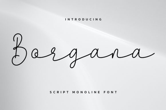 Borgana: The Vintage Script Font for Modern Branding