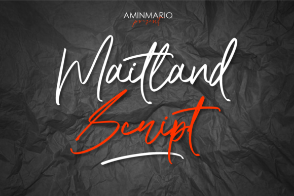 Maitland Font: Elevate Your Brand Identity