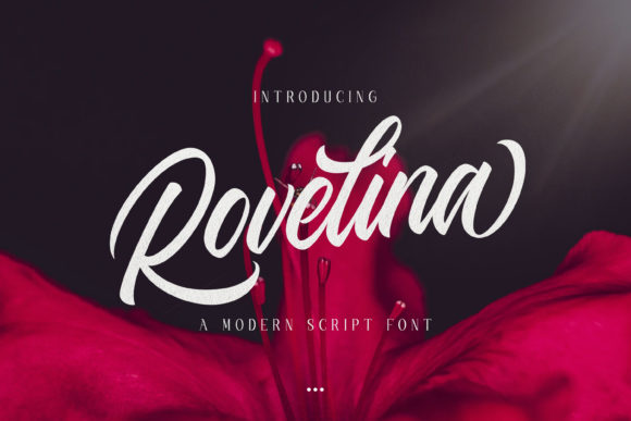 Rovelina Font: Elevate Your Brand Identity