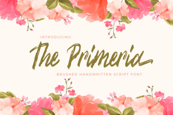 The Primeria Font for Chic Brand Identity