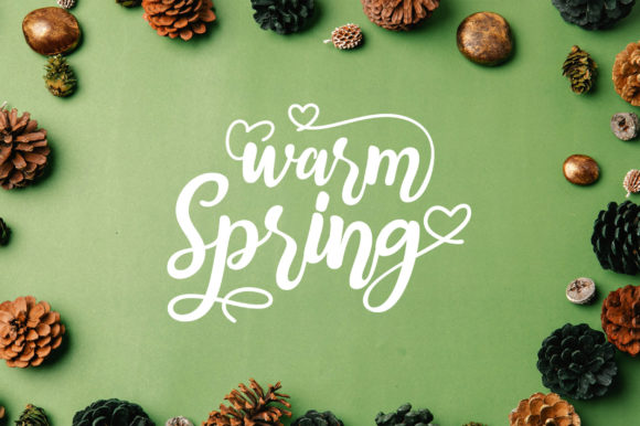 Warm Spring Typeface for Elegant Campaign Design
